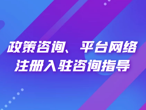 政策咨詢、平臺(tái)網(wǎng)絡(luò)注冊(cè)入駐咨詢指導(dǎo)